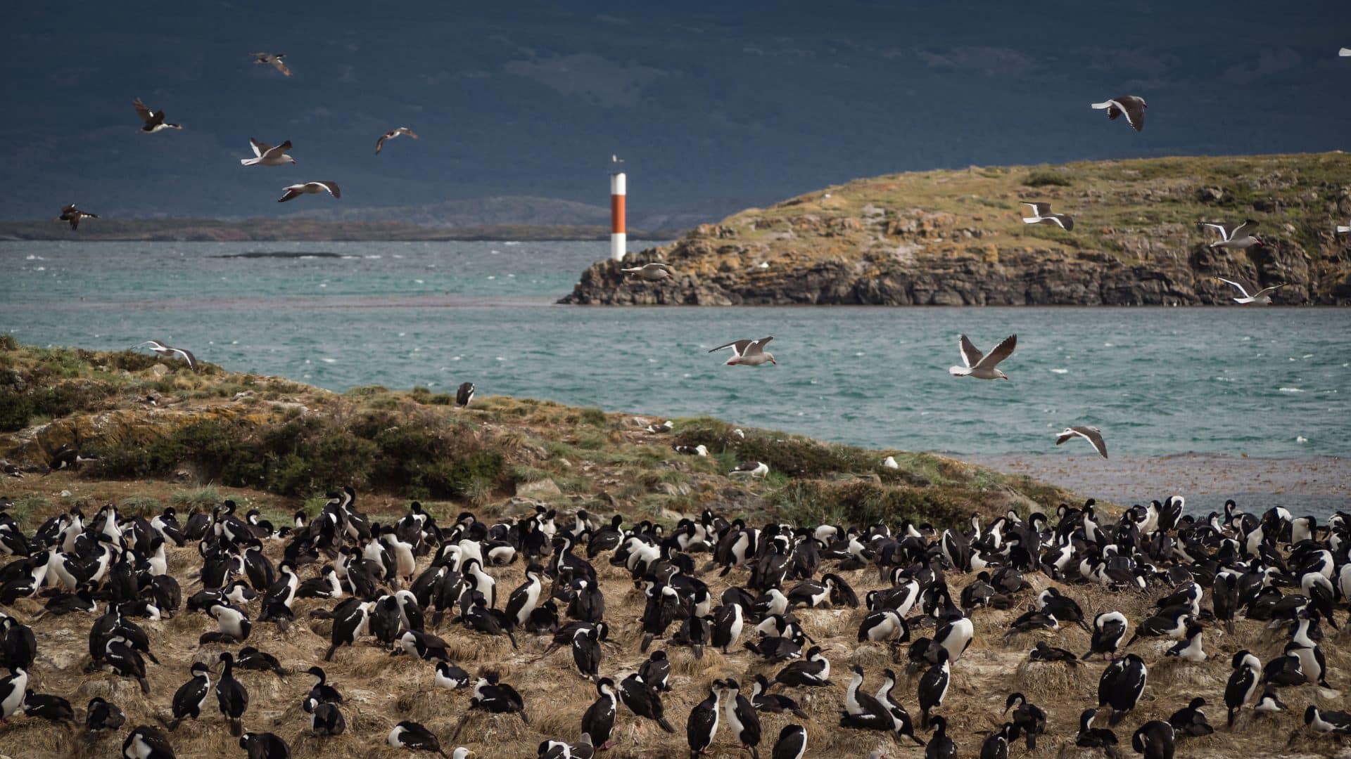 VIAGGIO in <br>ARGENTINA e CILE:: Capodanno in Patagonia - Southern Cross<br>Da Buenos Aires a Santiago del Cile