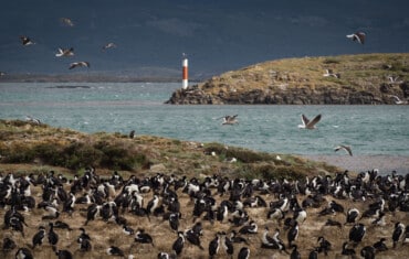 VIAGGIO ARGENTINA e CILE: Capodanno in Patagonia – Southern Cross