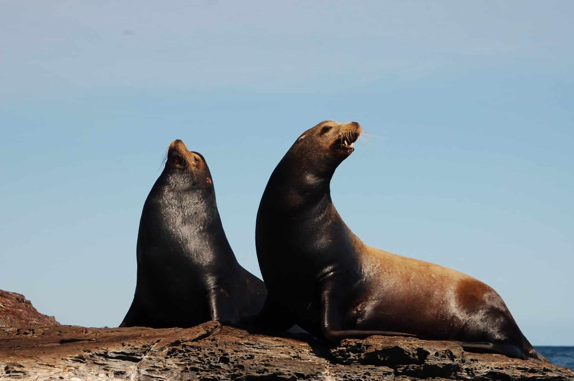 VIAGGIO BAJA CALIFORNIA: Destinazione Baja