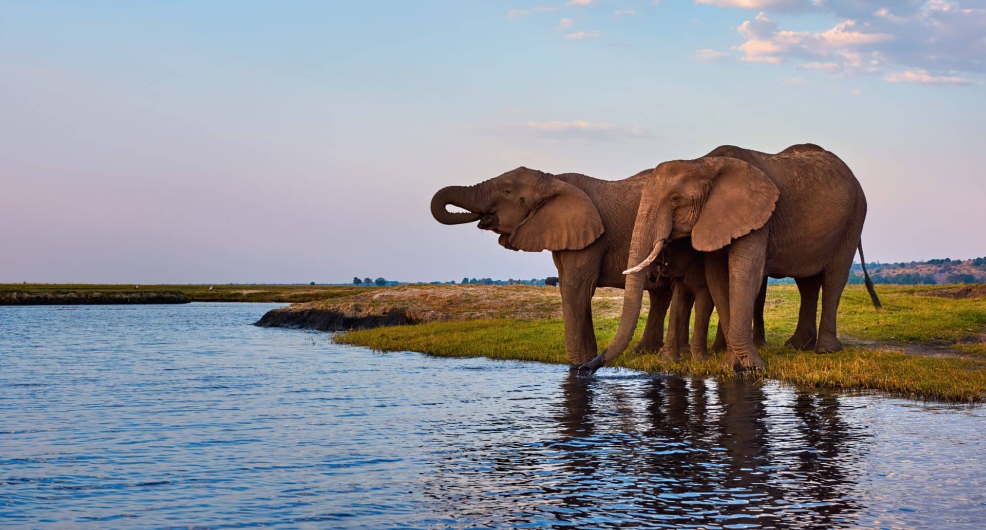 VIAGGIO in Sudafrica, Namibia, Botswana: La Grande Avventura