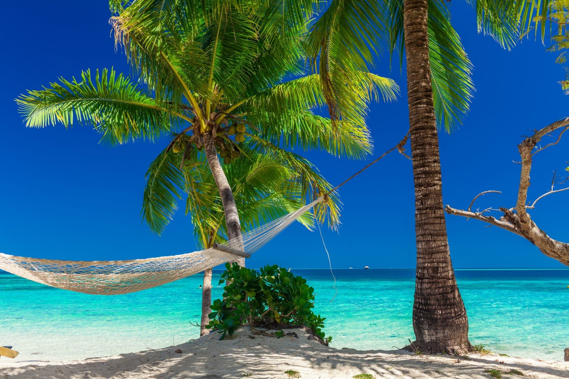 VIAGGIO VITI LEVU: Isole Fiji