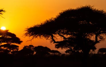 Capodanno in Africa