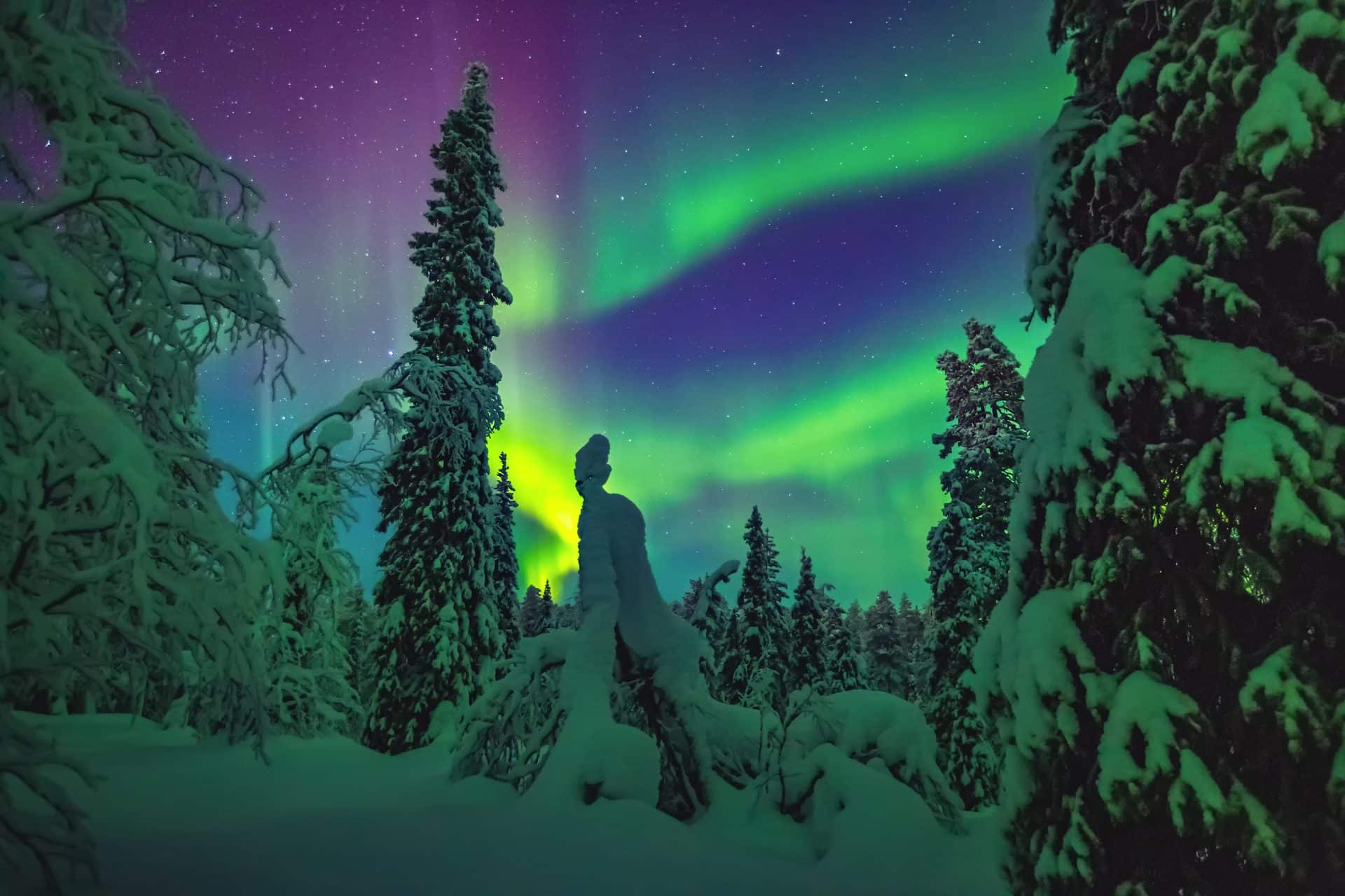 VIAGGIO LAPPONIA FINLANDESE: Saariselka, la località <br>dell’Aurora Boreale