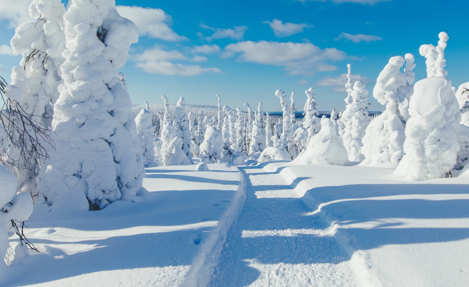 Viaggio in LAPPONIA FINLANDESE Saariselka in