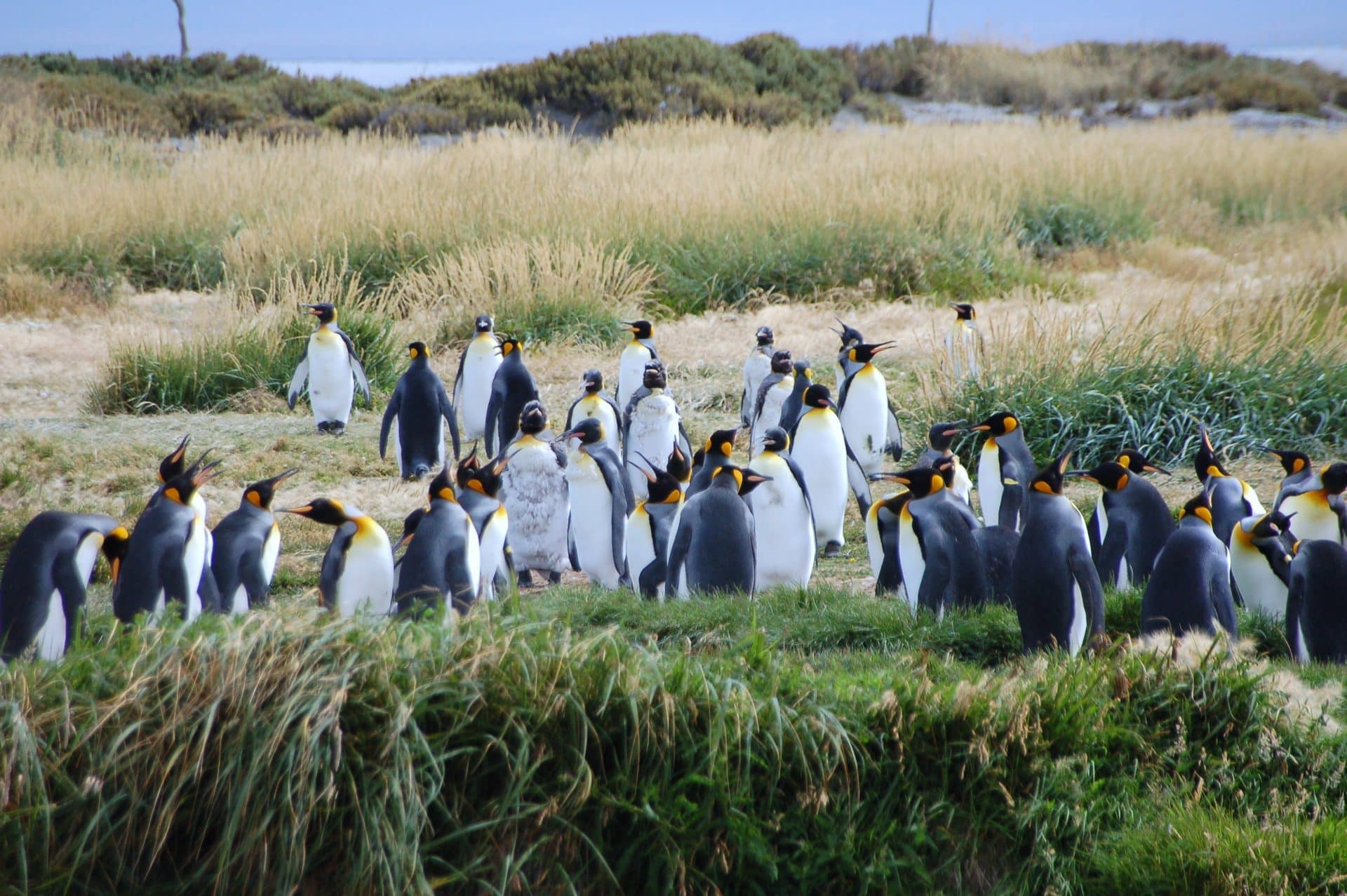 VIAGGIO ARGENTINA: I Colori della Patagonia