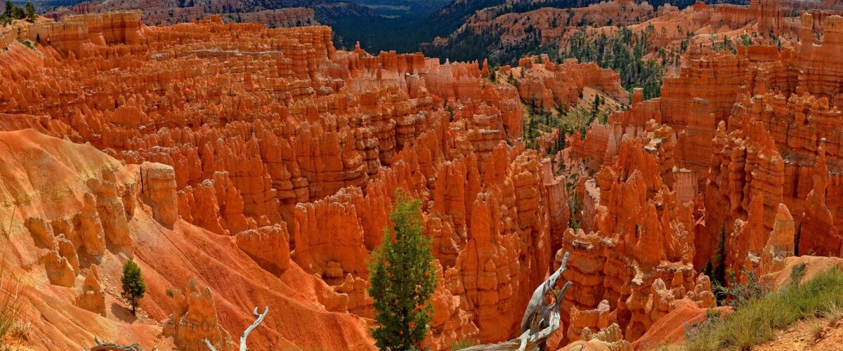 Formazioni rocciose rosse e pinnacoli nel Canyon di Bryce, Utah, con vegetazione sparse e cielo blu