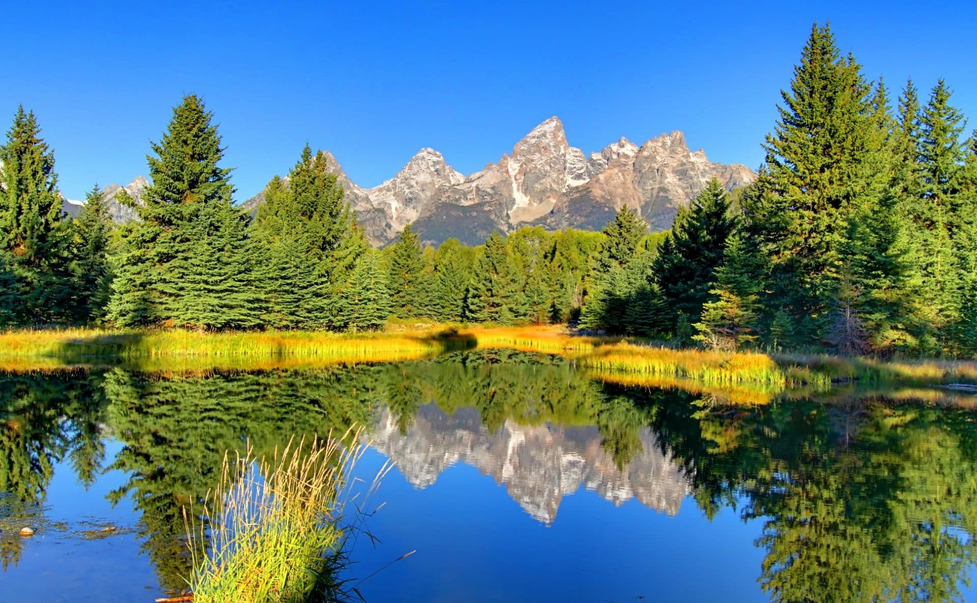 VIAGGIO STATI UNITI: dalle Montagne Rocciose al Pacifico