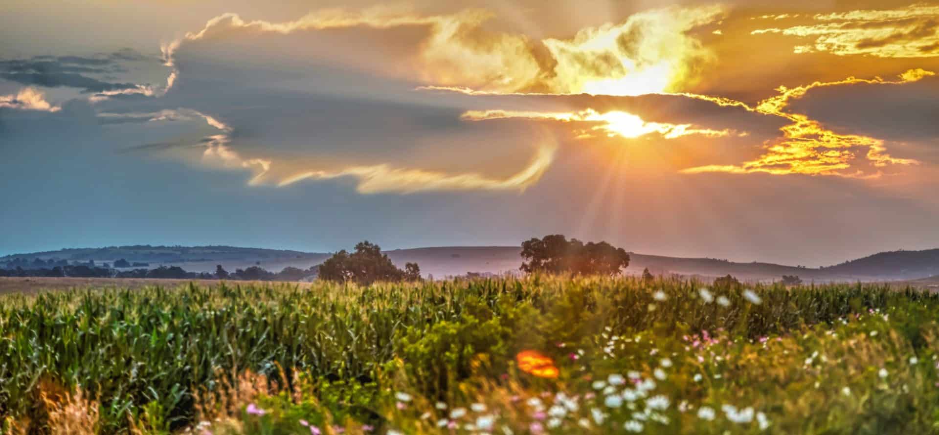 VIAGGIO SUDAFRICA: Paesaggi Sudafricani & Garden Route