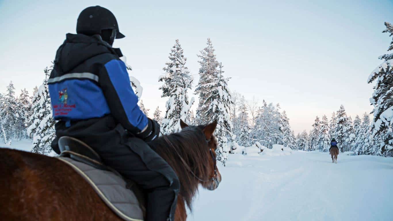 Cavaliere in sella a cavallo nella foresta innevata della Lapponia, con abeti innevati sullo sfondo