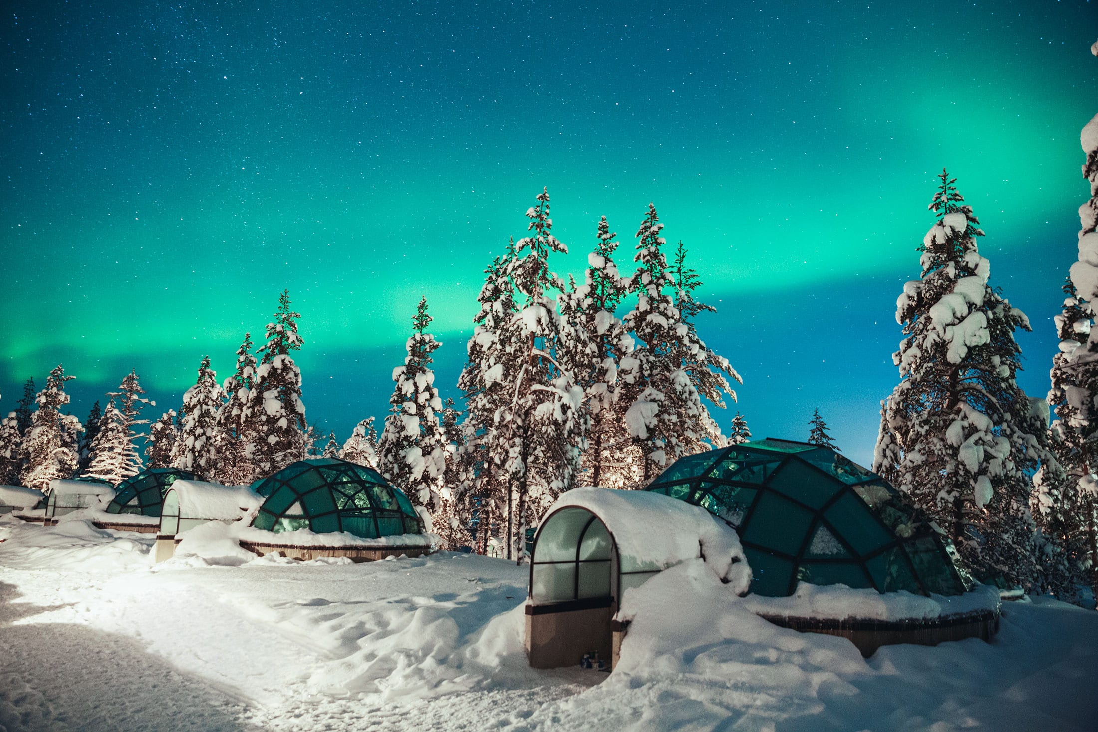 Igloo di vetro nella foresta innevata della Lapponia con aurora boreale verde nel cielo notturno