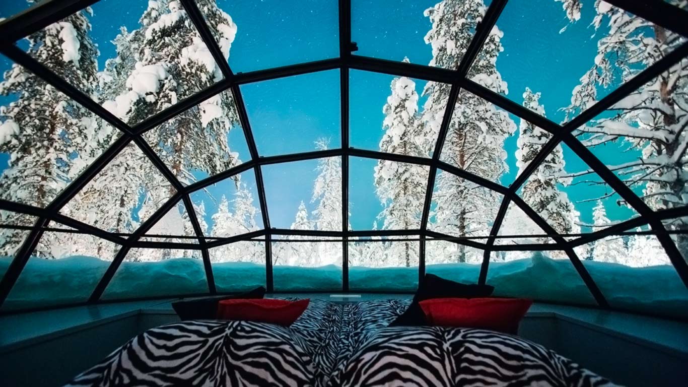 Vista dall'interno di un igloo in vetro con letto a baldacchino, circondata da foresta innevata sotto cielo azzurro.