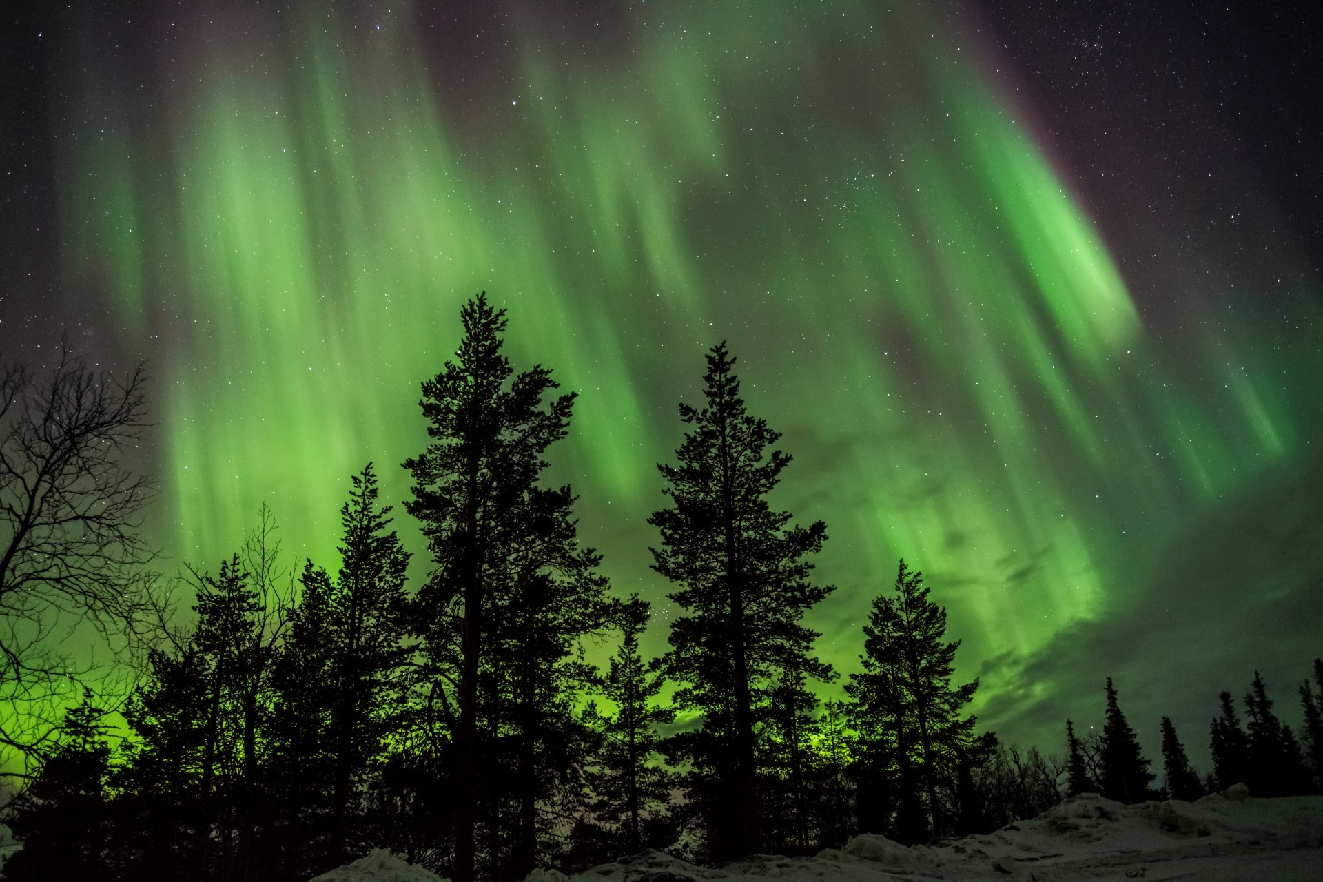 Tour a Saariselka e Inari in Lapponia nella Terra dei Sami