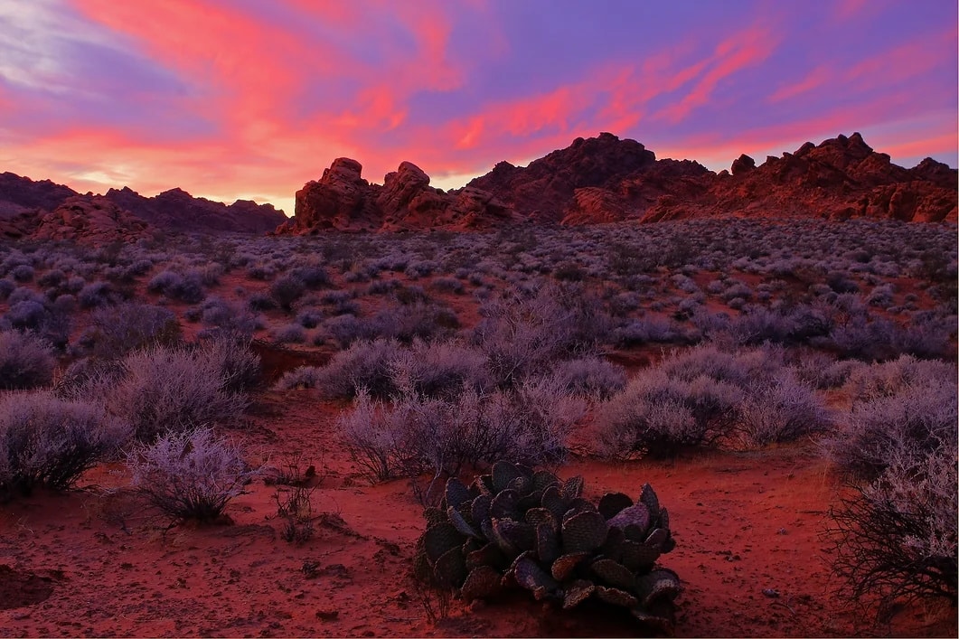 VIAGGIO BAJA CALIFORNIA: La Baja in camper-van