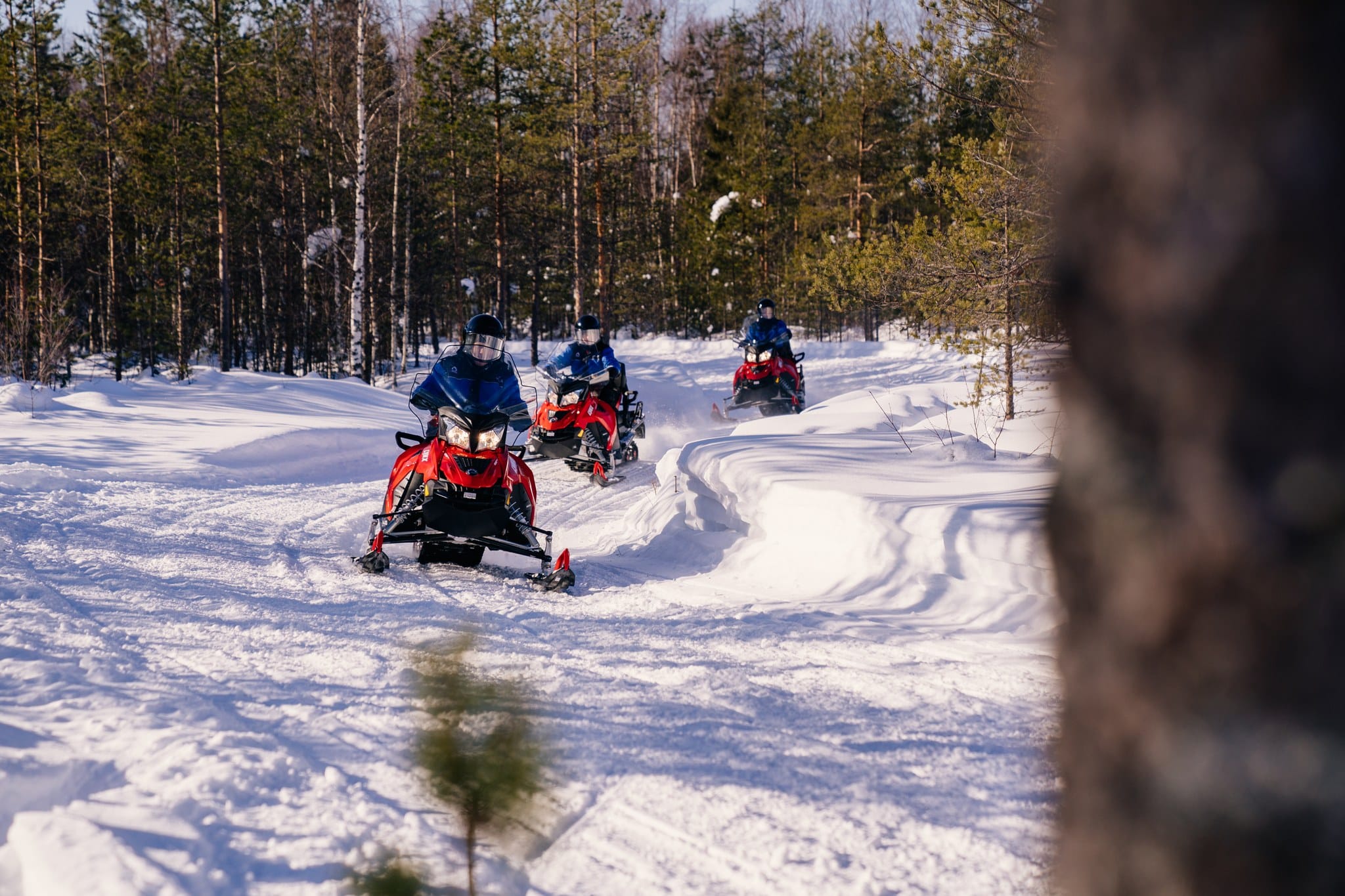 Gruppo di motoslitte rosse e blu che viaggiano su un sentiero innevato attraverso una foresta di betulle in Lapponia.