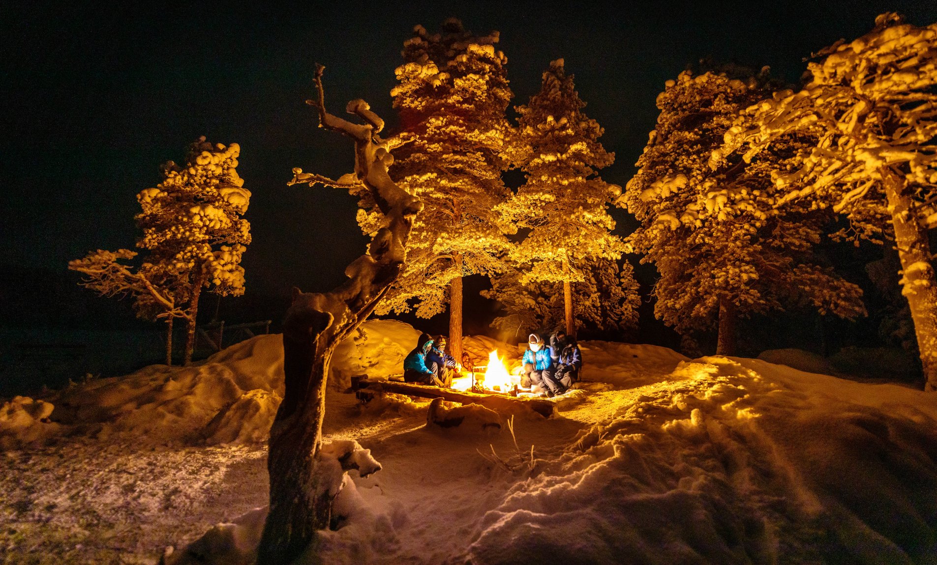 Gruppo di persone sedute attorno a un falò sotto gli alberi illuminati dalla notte stellata nella foresta