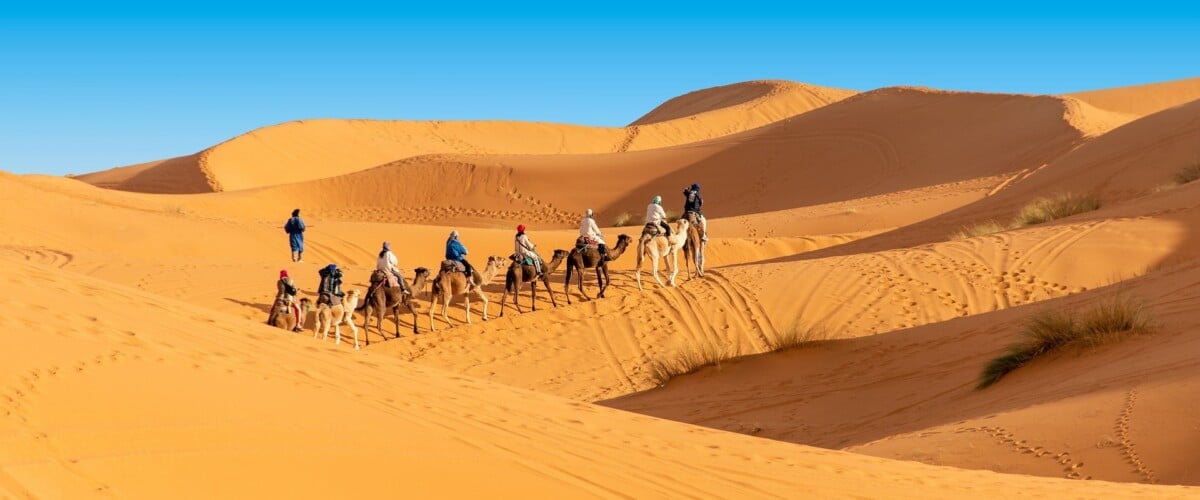 Marocco, Merzouga: in cammello sulle dune